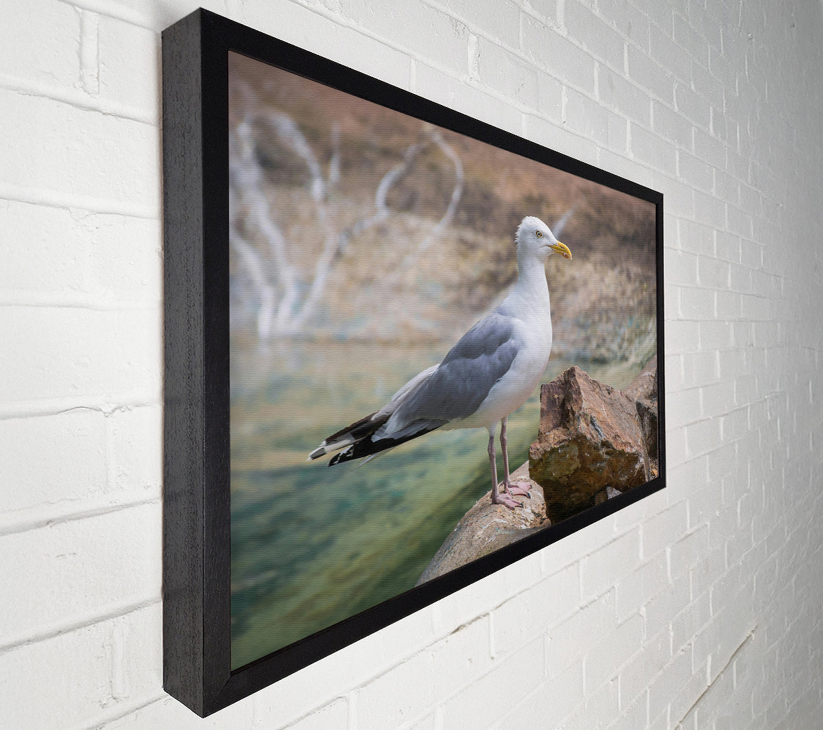White Seagull On Rock Canvas Wall Art