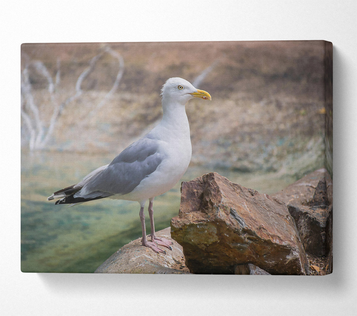 White Seagull On Rock Canvas Wall Art