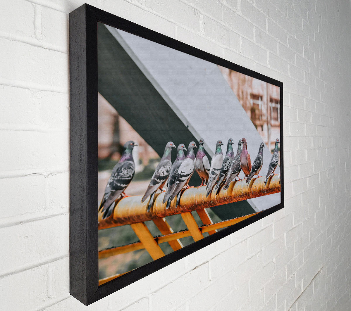Rusty Railing Pigeons Canvas Wall Art