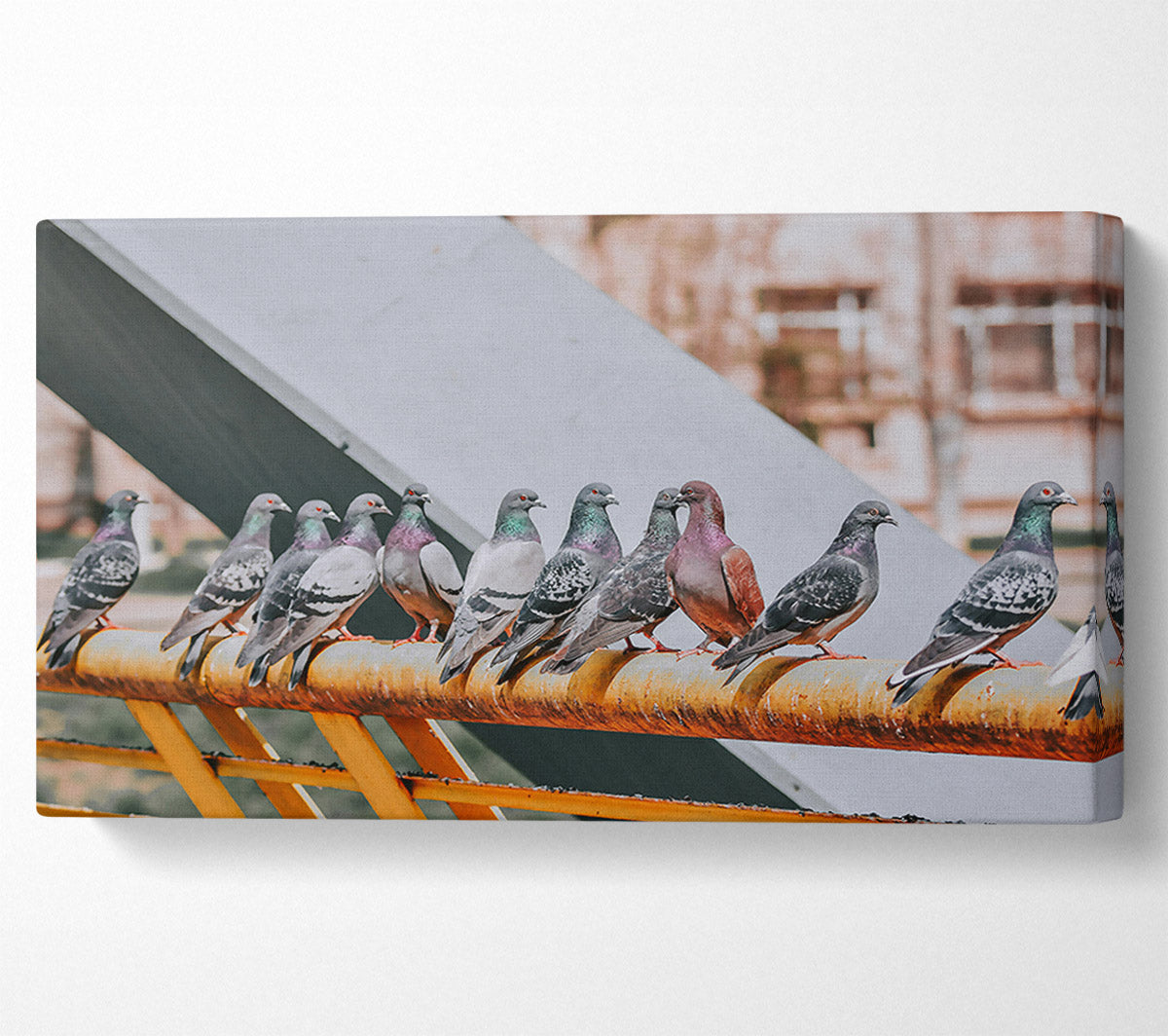 Rusty Railing Pigeons Canvas Wall Art