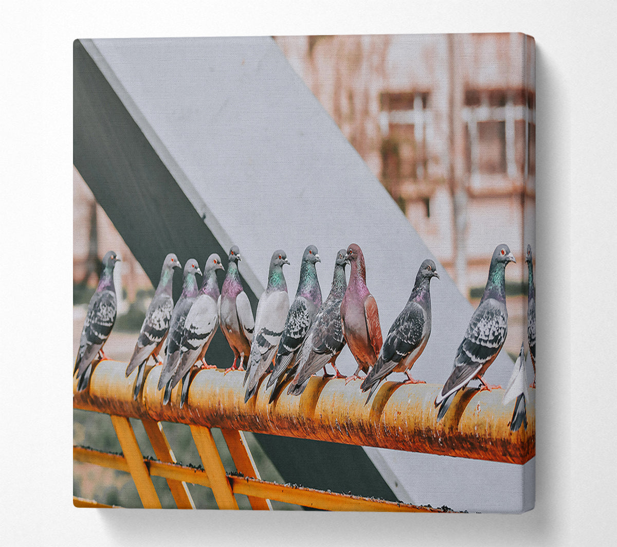 Rusty Railing Pigeons Canvas Wall Art