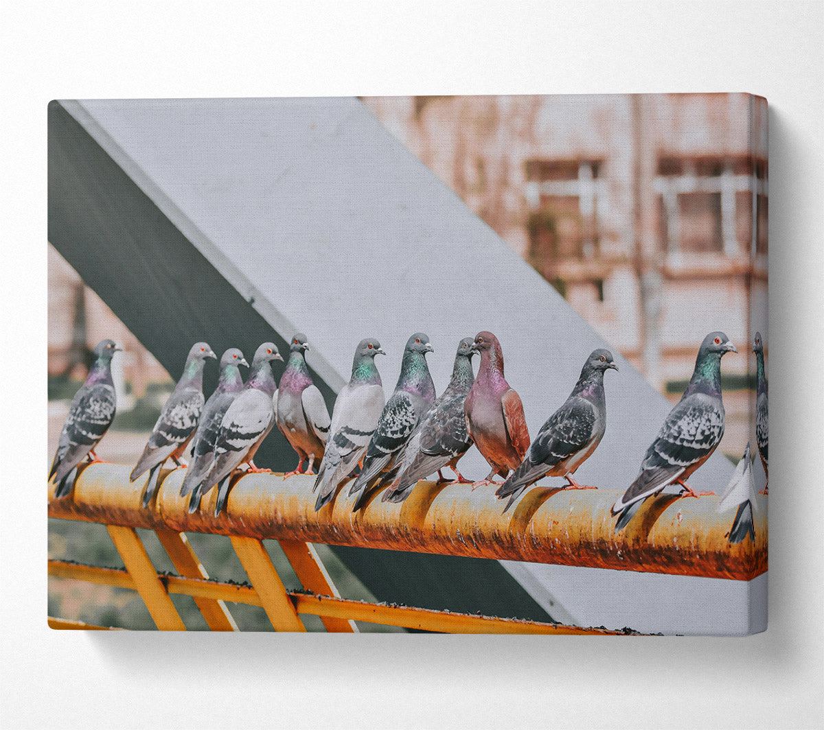 Rusty Railing Pigeons Canvas Wall Art