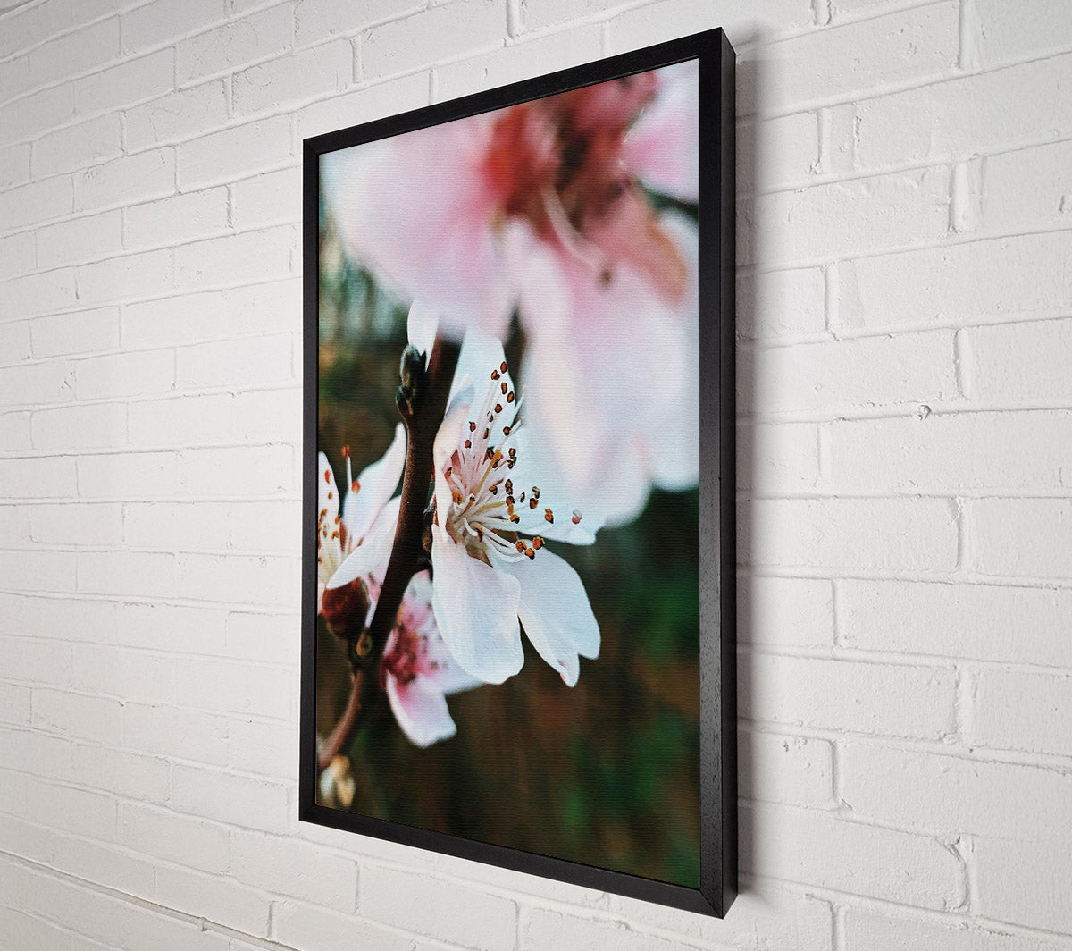 White Spring Blossom Canvas Wall Art