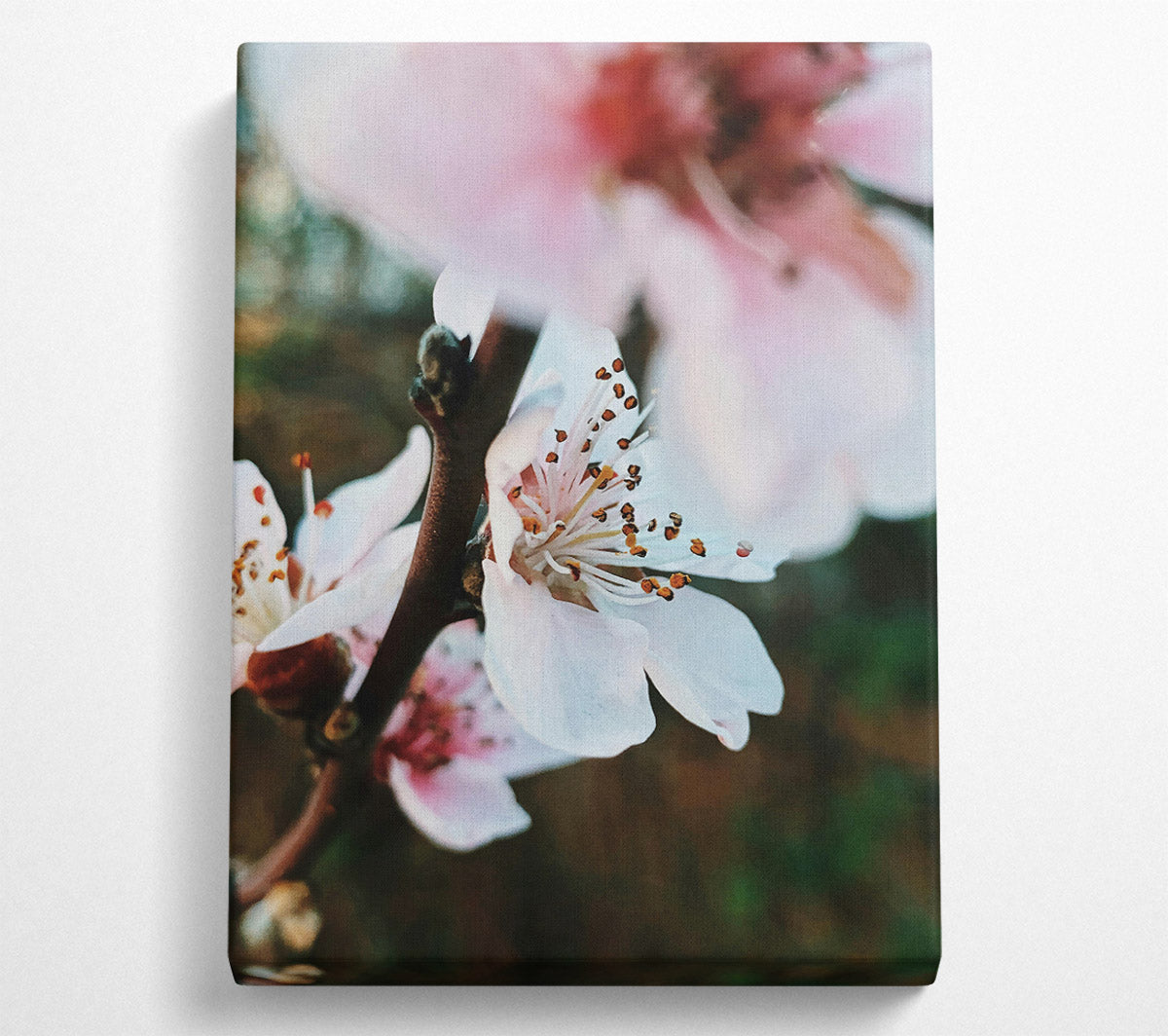 White Spring Blossom Canvas Wall Art