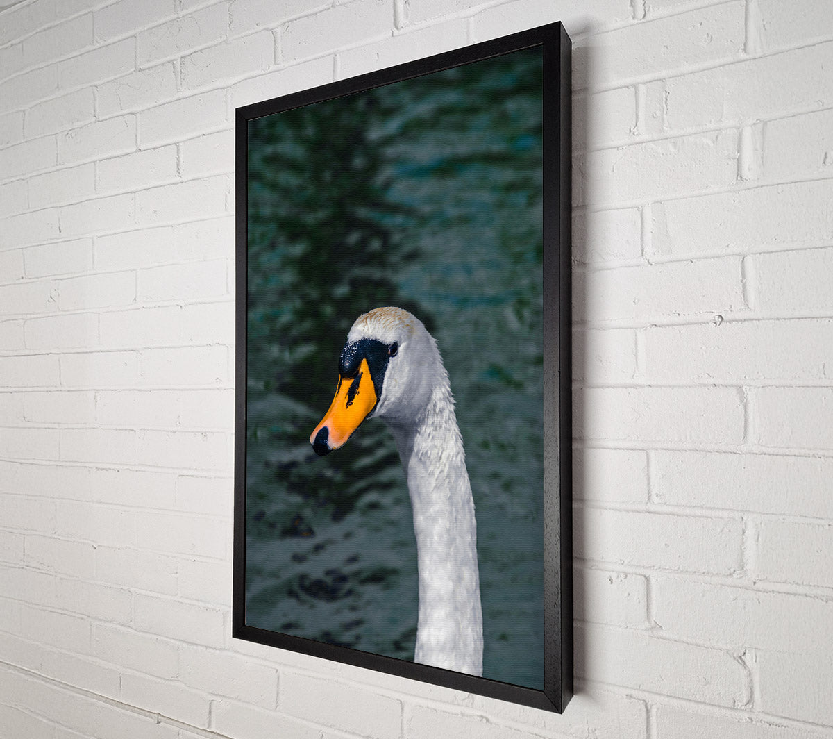 Yellow Beak Swan Portrait Canvas Wall Art