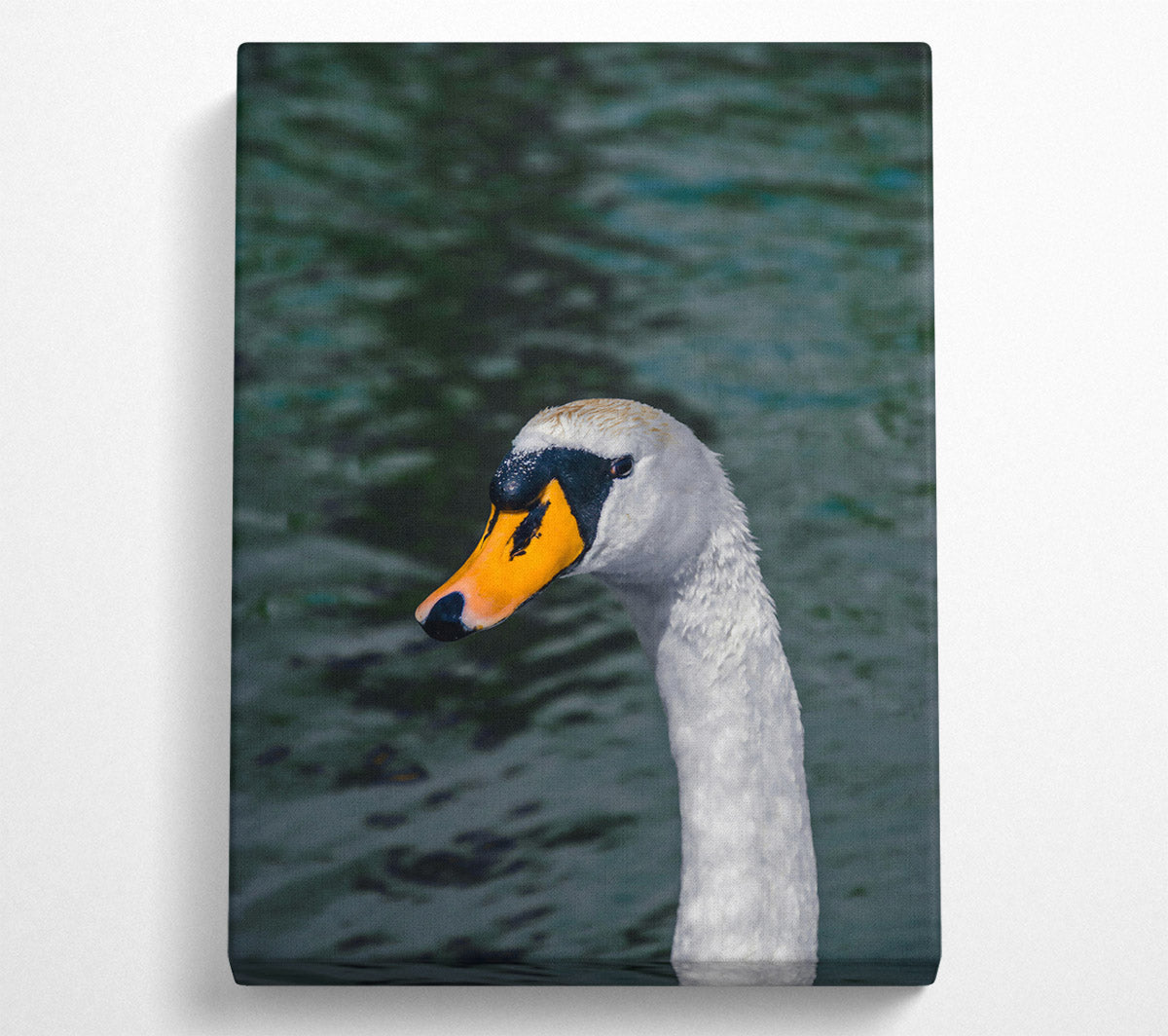 Yellow Beak Swan Portrait Canvas Wall Art