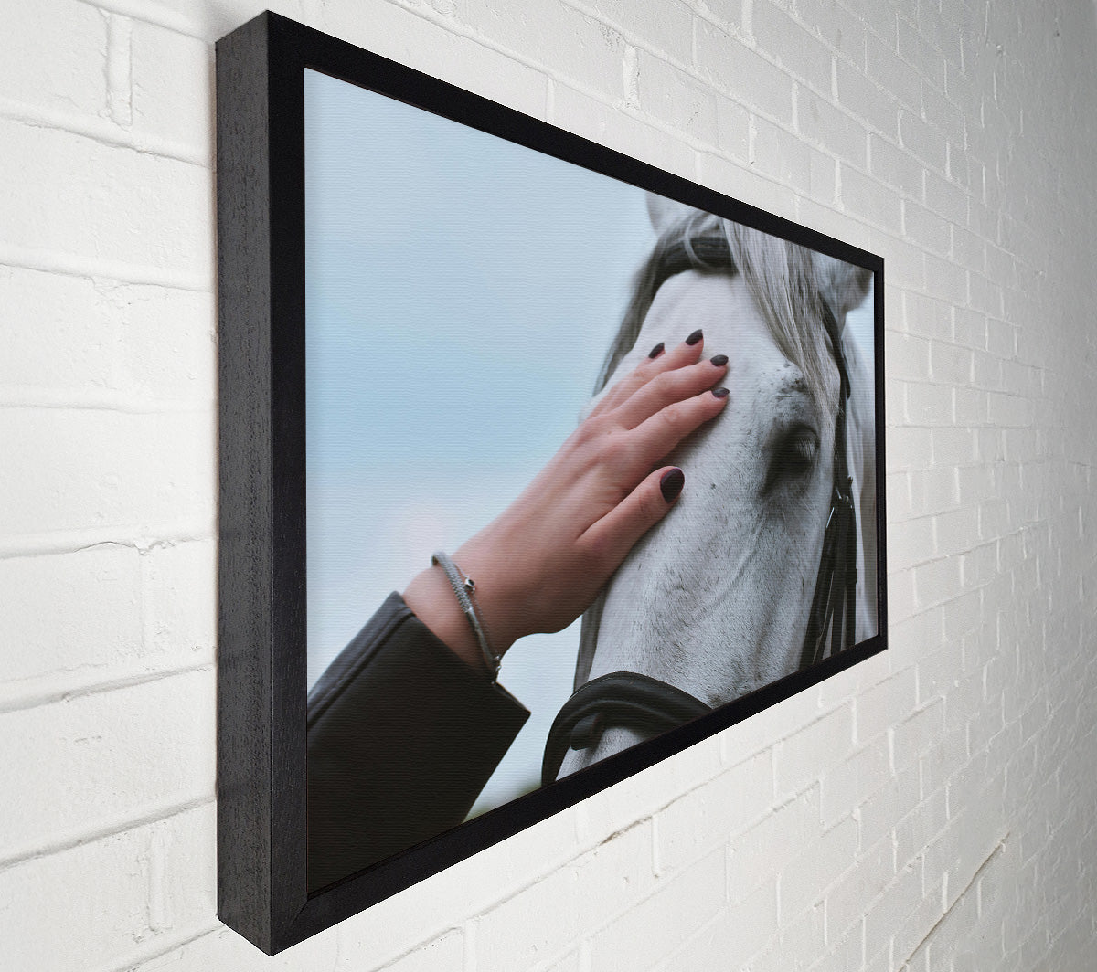 White Horse Gentle Touch Canvas Wall Art