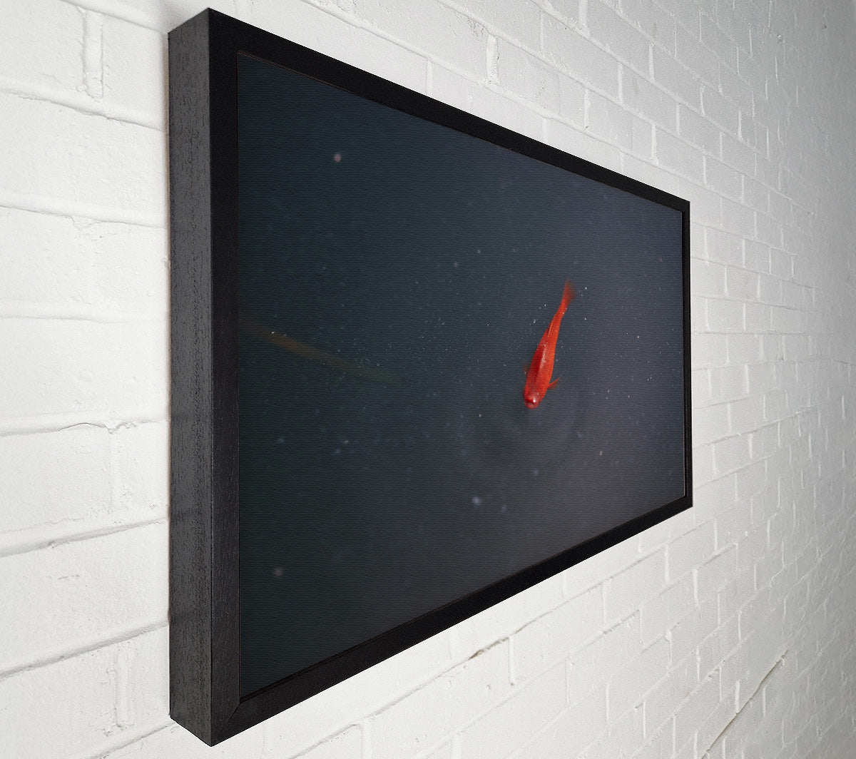 Red Fish In The Deep Canvas Wall Art