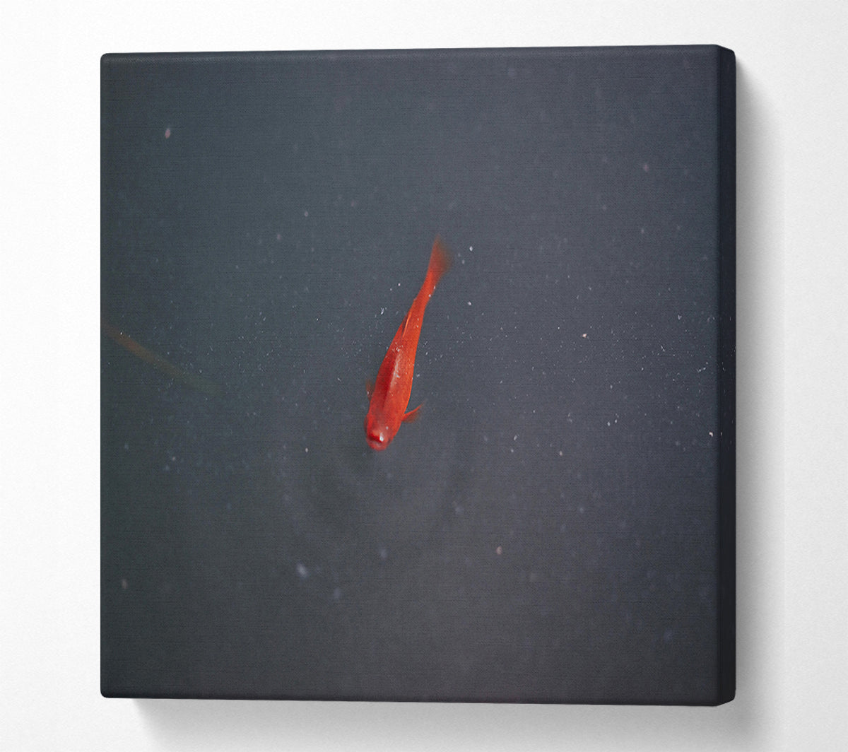 Red Fish In The Deep Canvas Wall Art