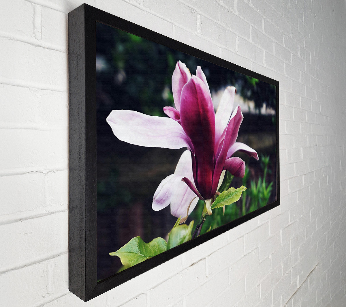 The Crimson Bloom'S Embrace Canvas Wall Art