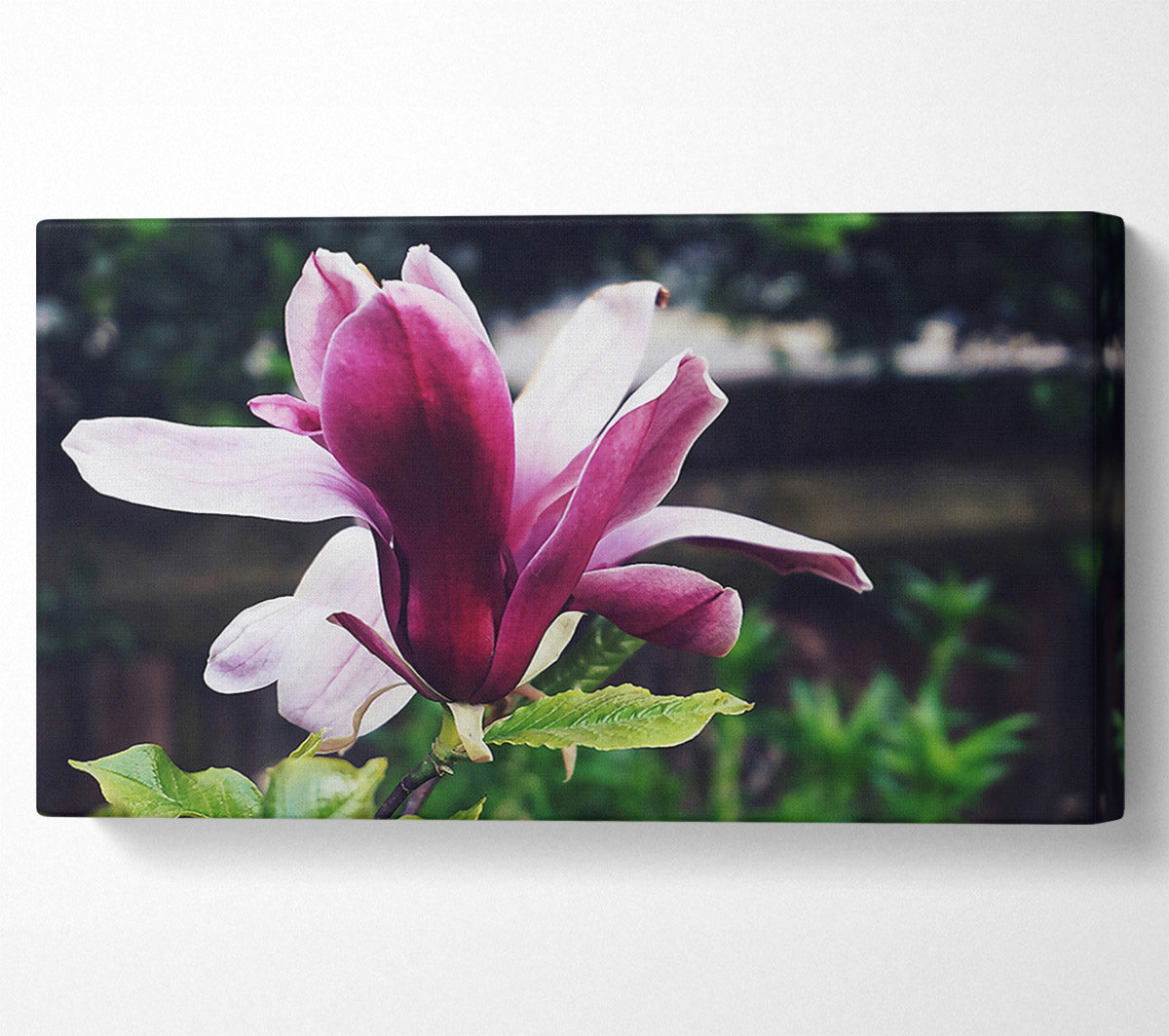 The Crimson Bloom'S Embrace Canvas Wall Art