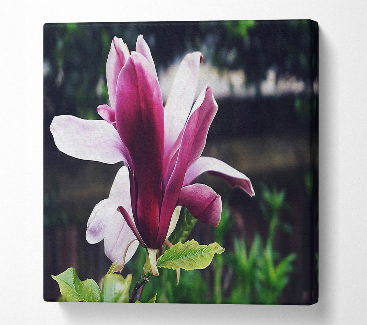 The Crimson Bloom'S Embrace Canvas Wall Art