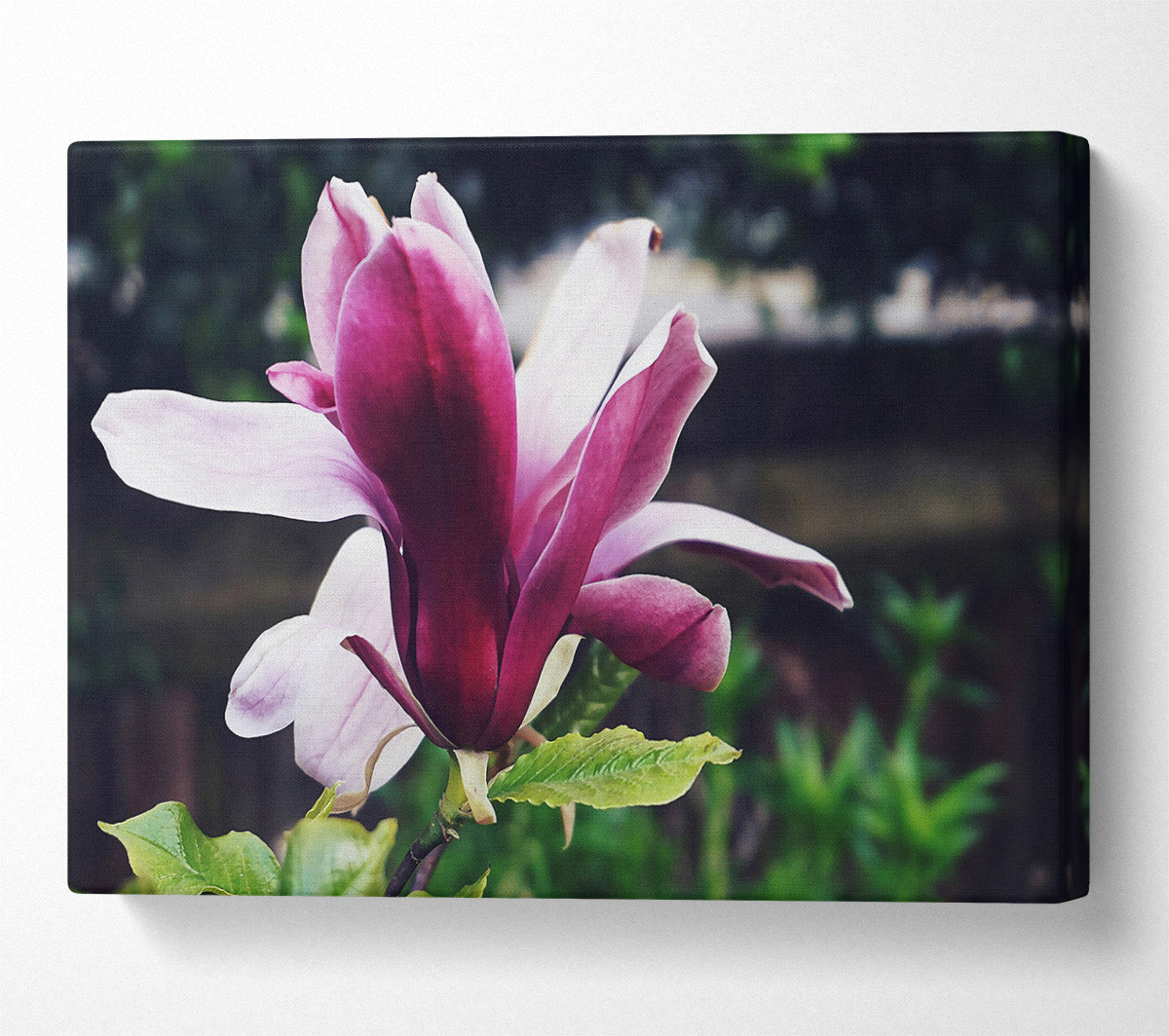 The Crimson Bloom'S Embrace Canvas Wall Art