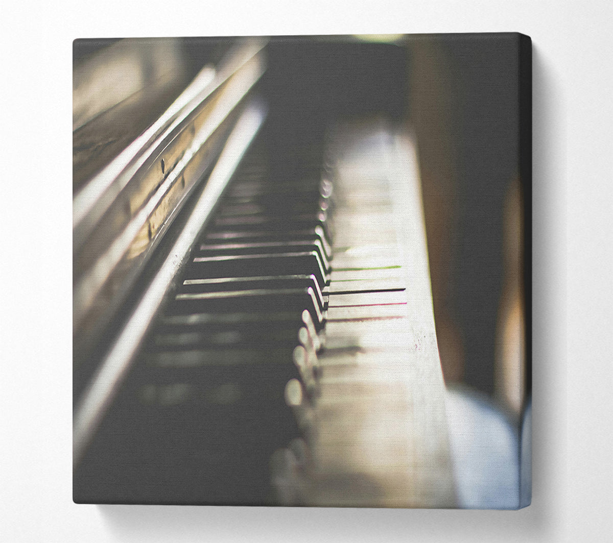White Keys In Shadow Canvas Wall Art