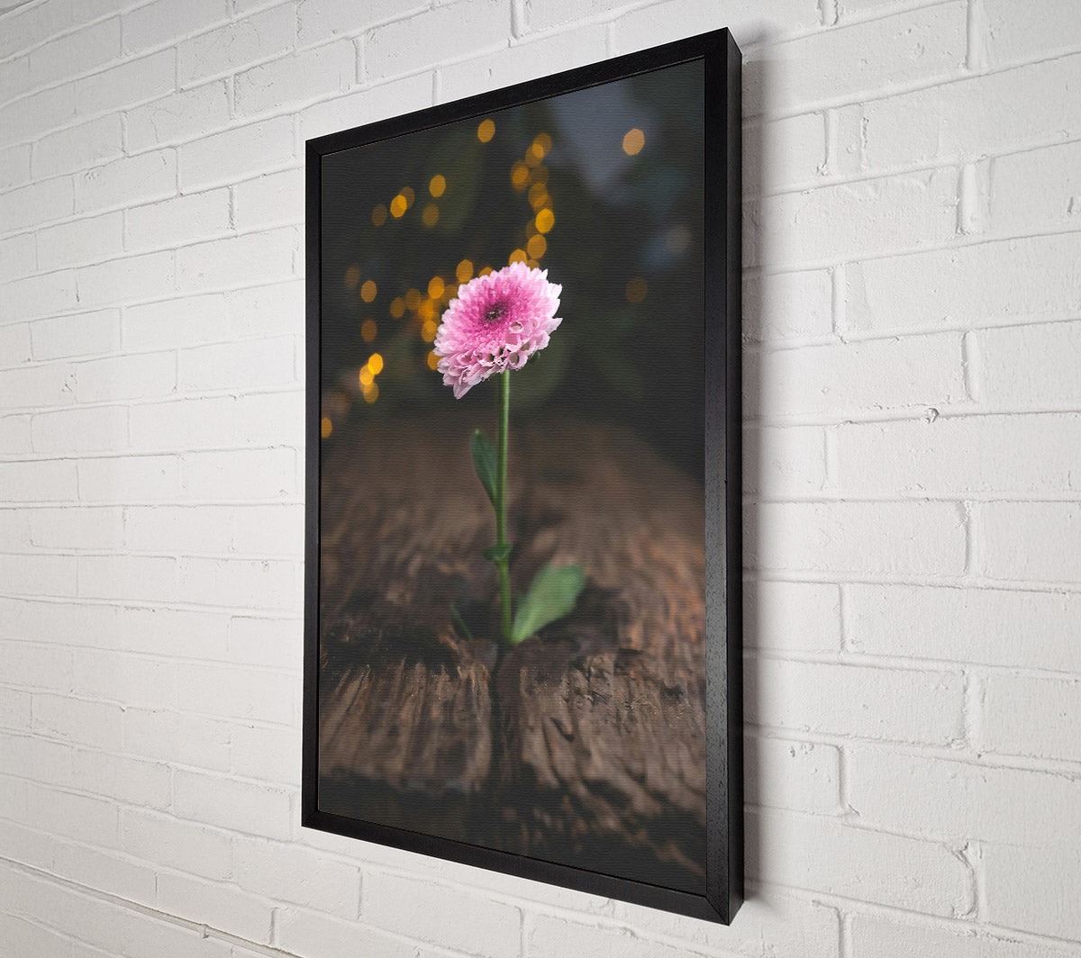 Pink Bloom Rises Canvas Wall Art