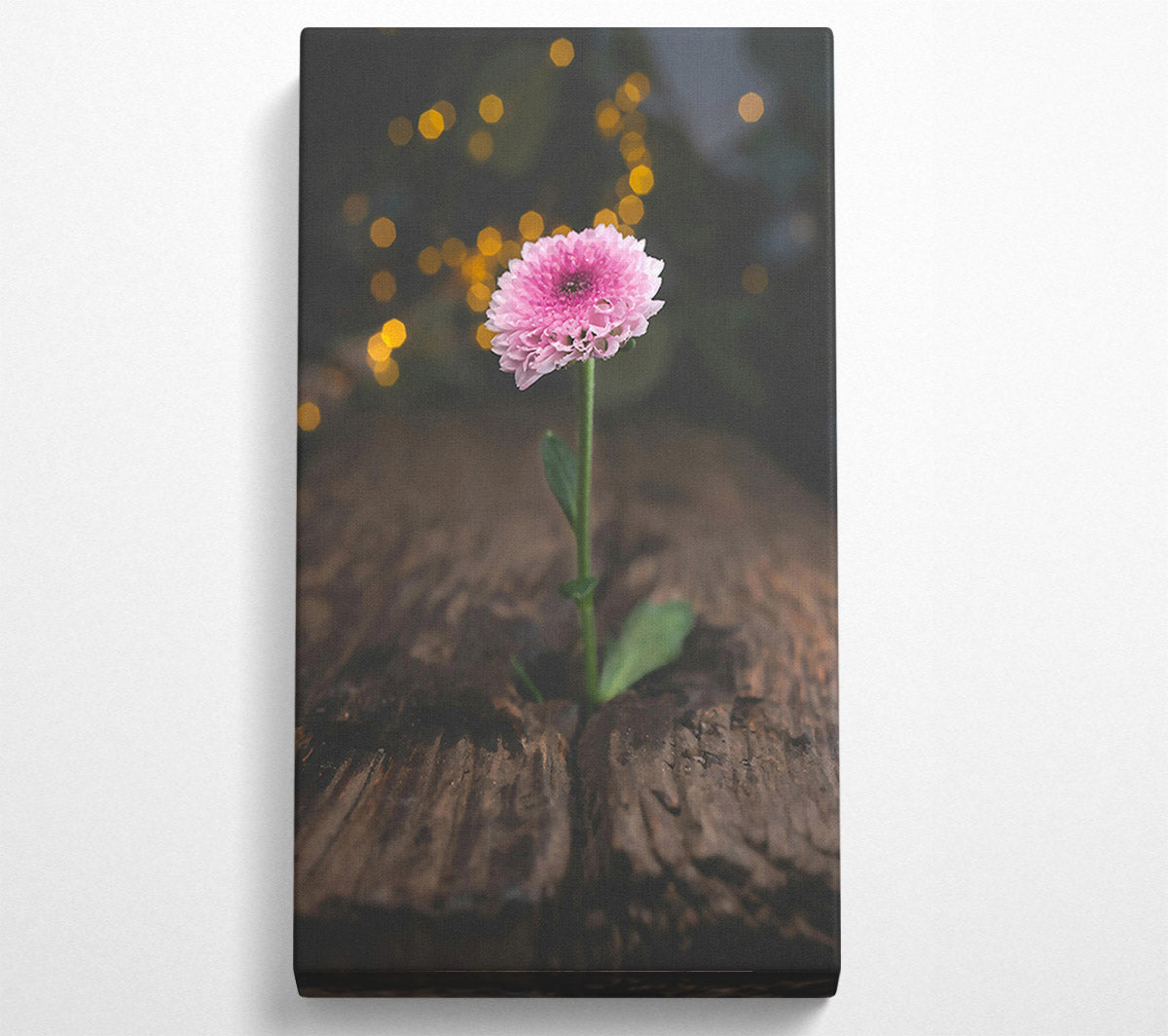 Pink Bloom Rises Canvas Wall Art