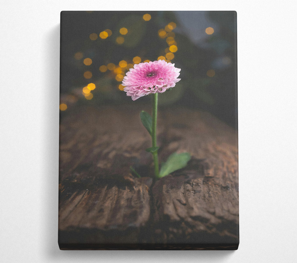 Pink Bloom Rises Canvas Wall Art