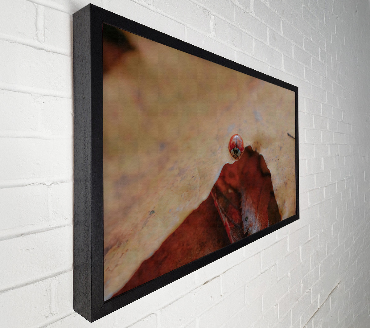Red Under Leaf Canvas Wall Art