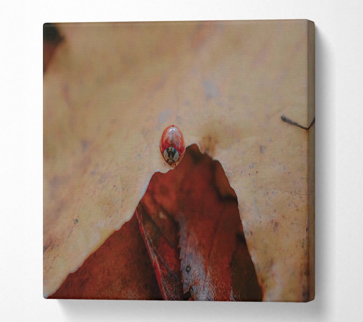 Red Under Leaf Canvas Wall Art