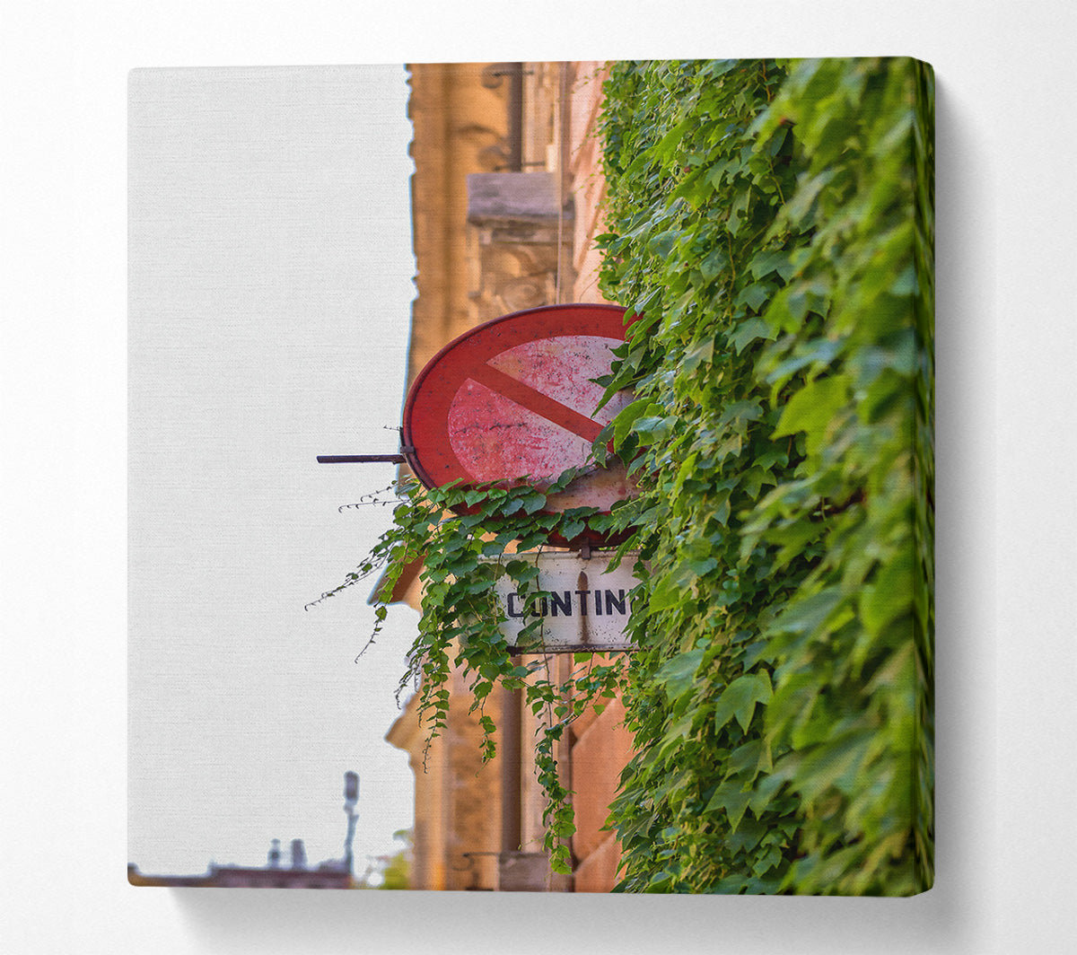 Red Sign And Green Vines Canvas Wall Art