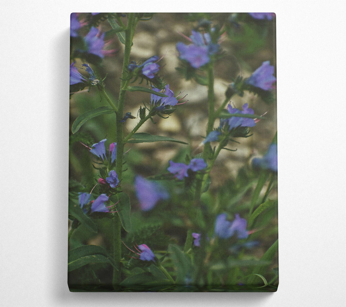 Purple Garden Bloom Canvas Print