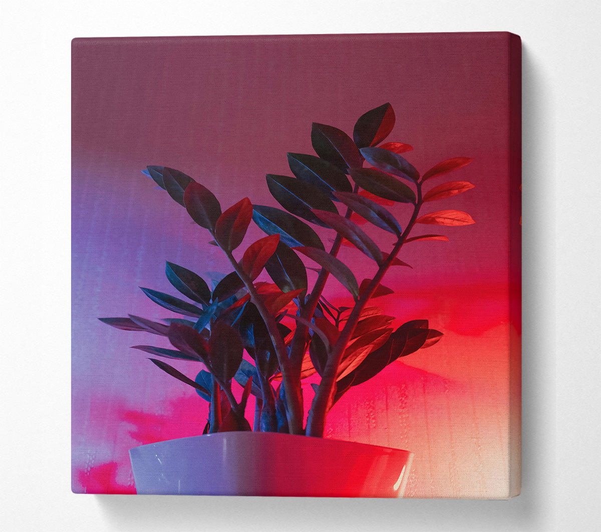 Pink Neon Plant Canvas Wall Art