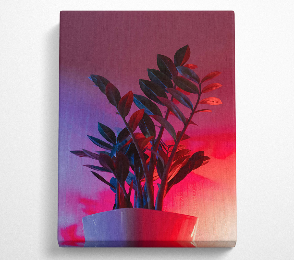 Pink Neon Plant Canvas Wall Art