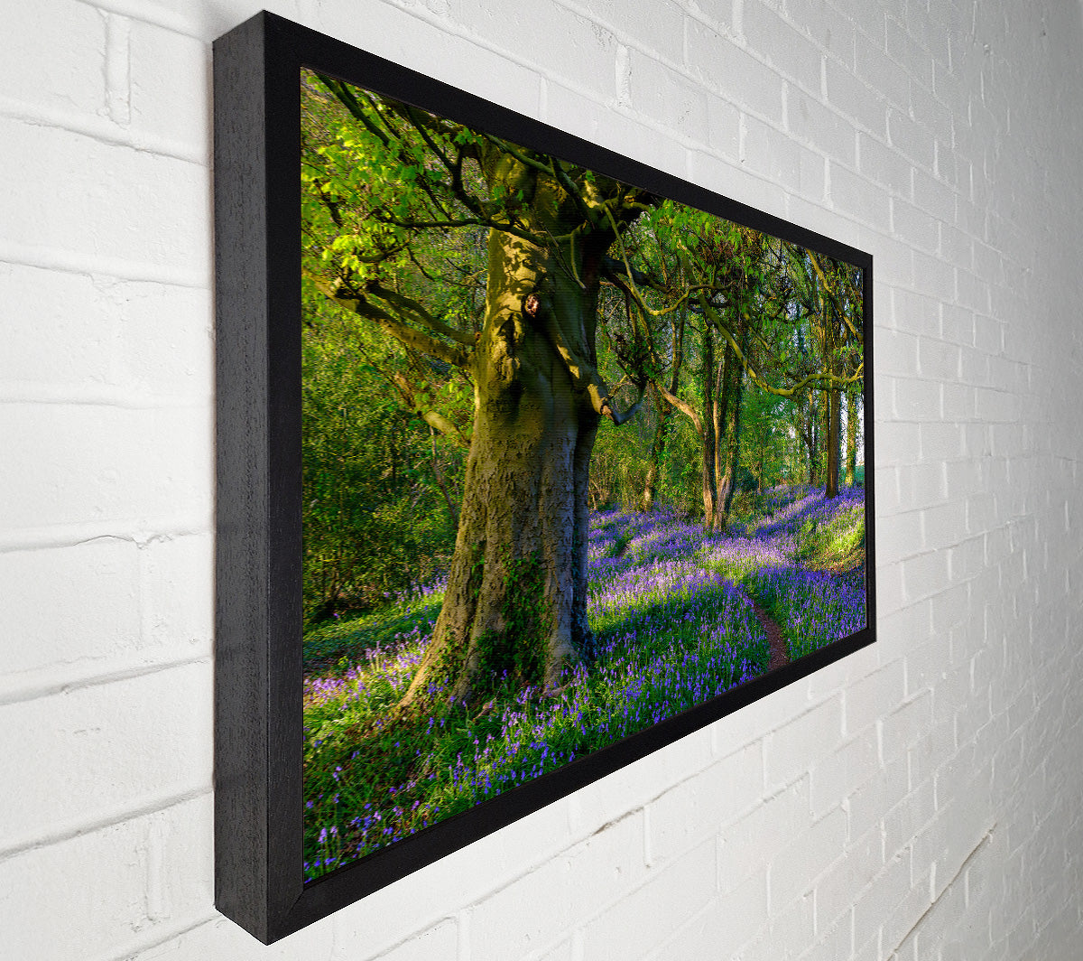 Purple Woodland Path Canvas Wall Art