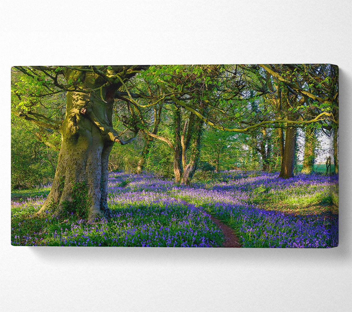 Purple Woodland Path Canvas Wall Art