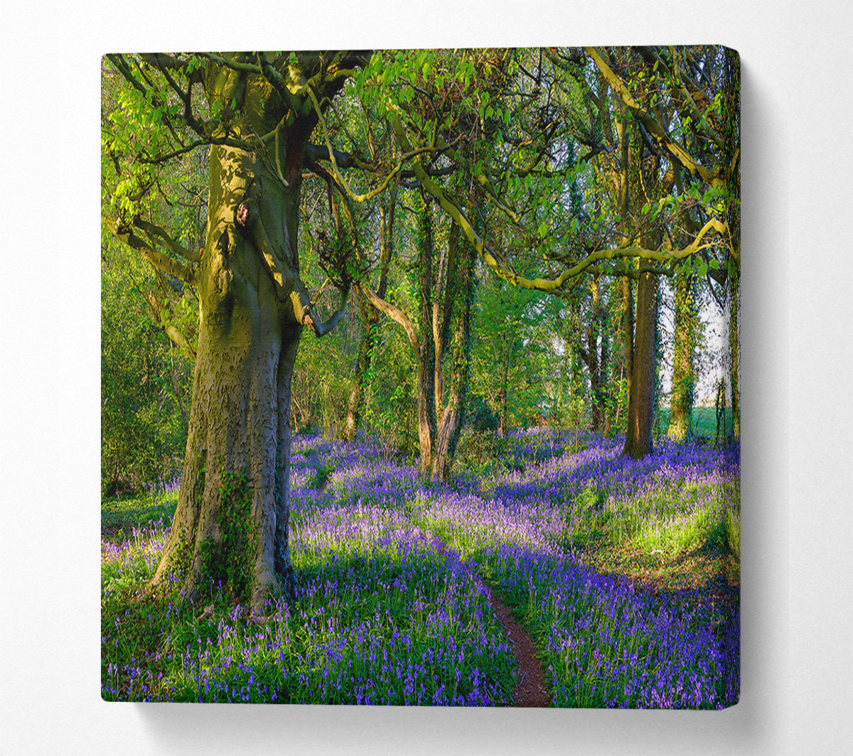 Purple Woodland Path Canvas Wall Art