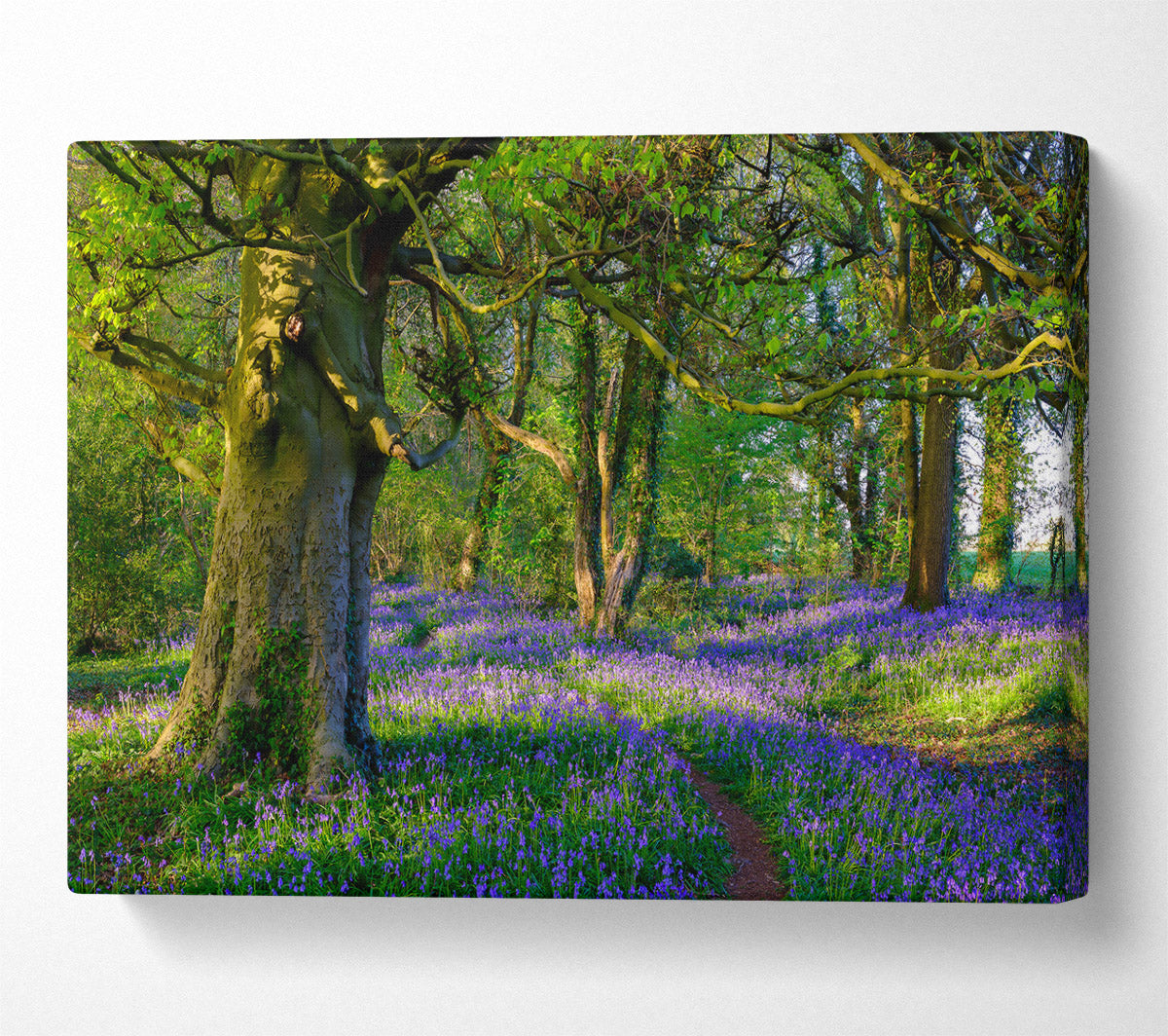 Purple Woodland Path Canvas Wall Art