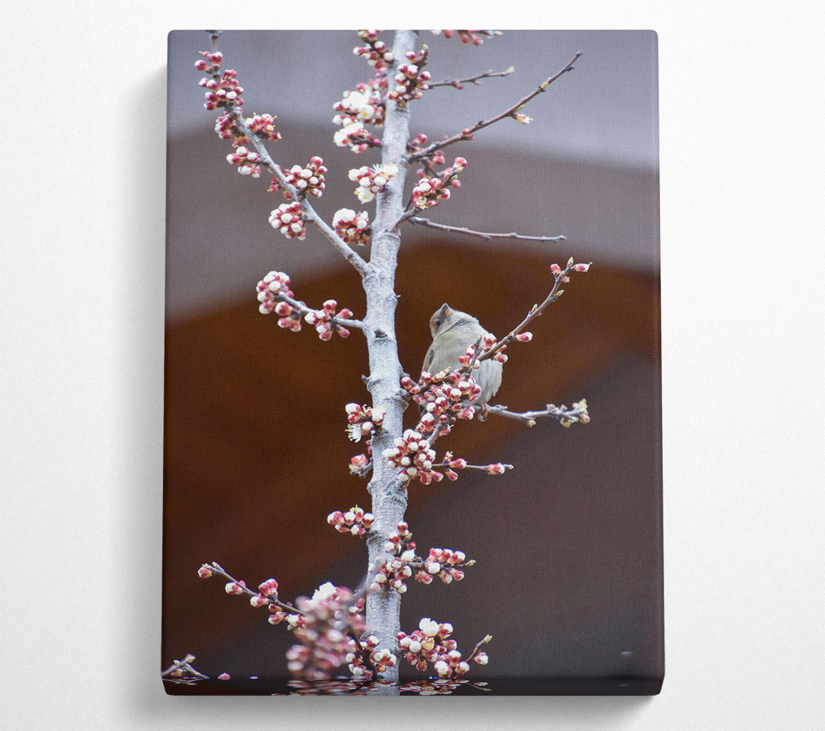Pink Blossom Branch Canvas Print