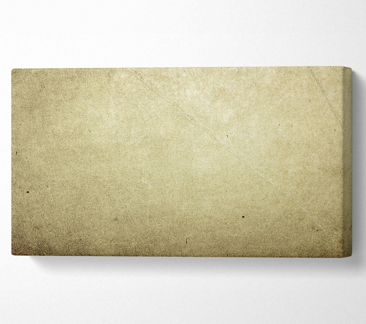 The Pale Beige Canvas Canvas Art