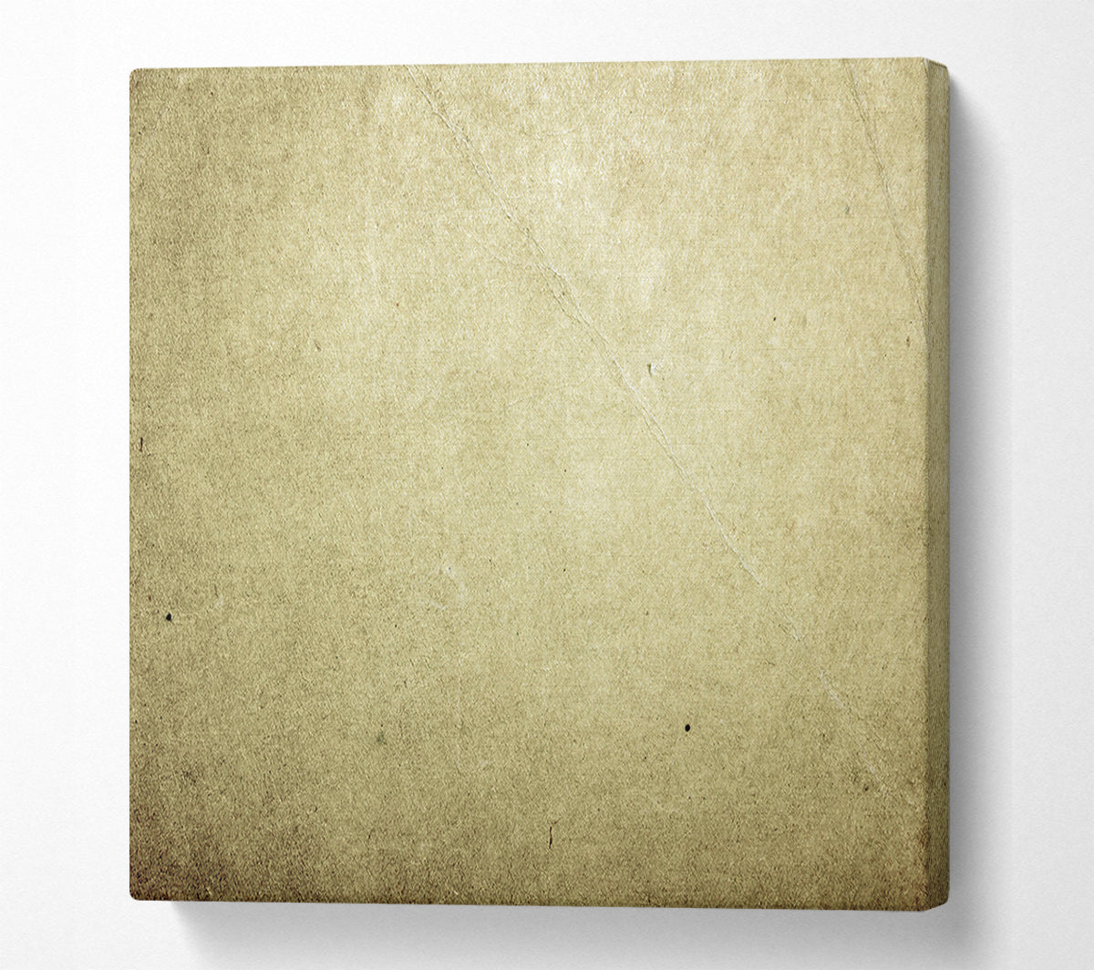 The Pale Beige Canvas Canvas Art