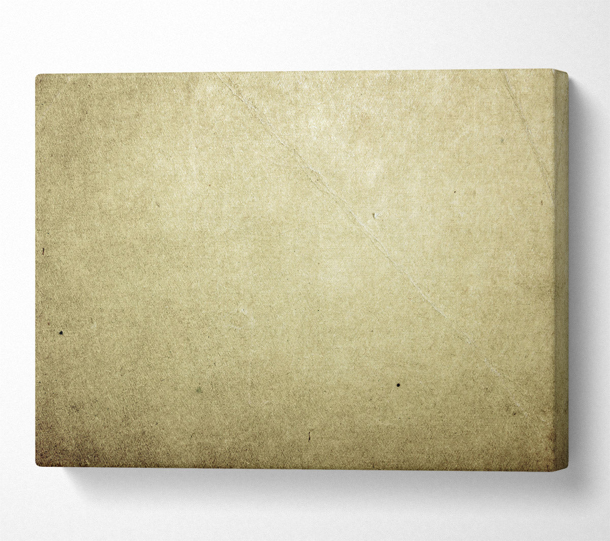 The Pale Beige Canvas Canvas Art