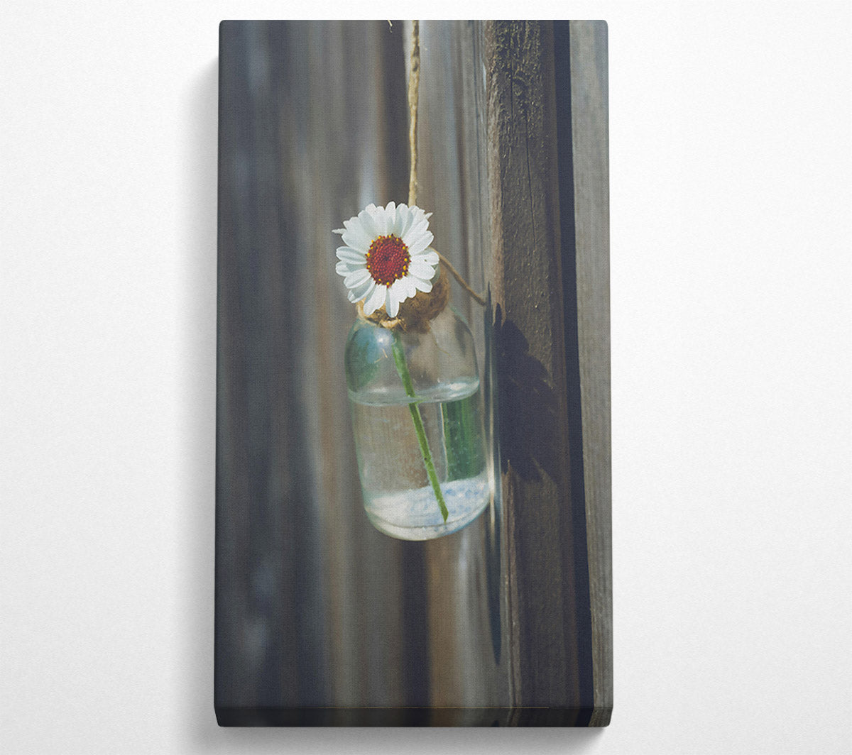 White Daisy In Blue Glass Canvas Wall Art