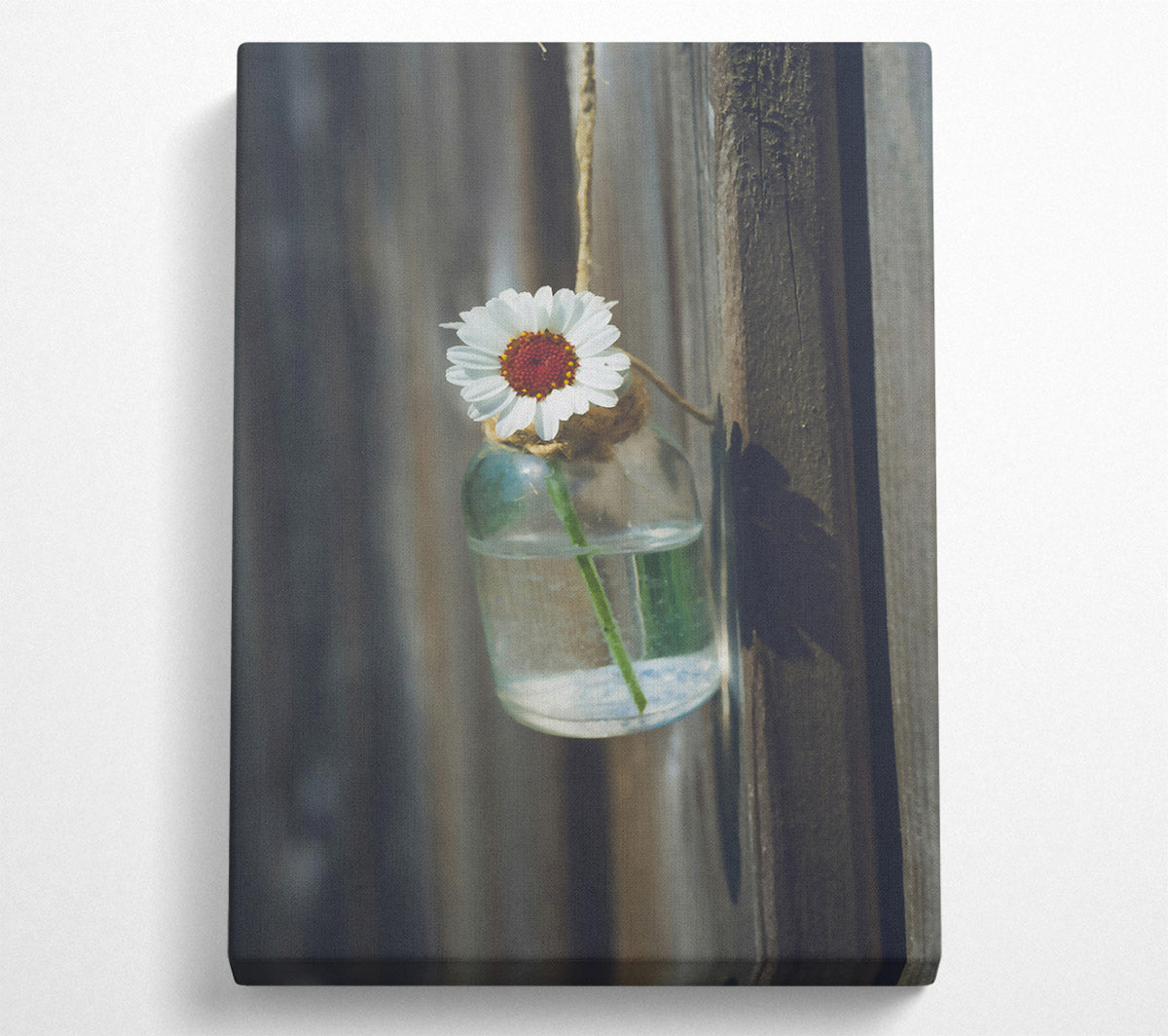 White Daisy In Blue Glass Canvas Wall Art