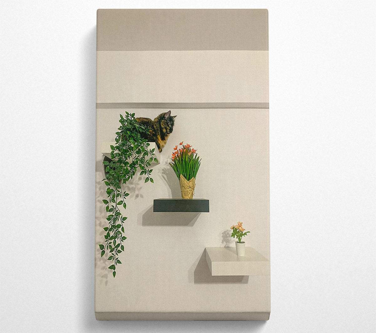 Black Shelf With Green Vines Canvas Print