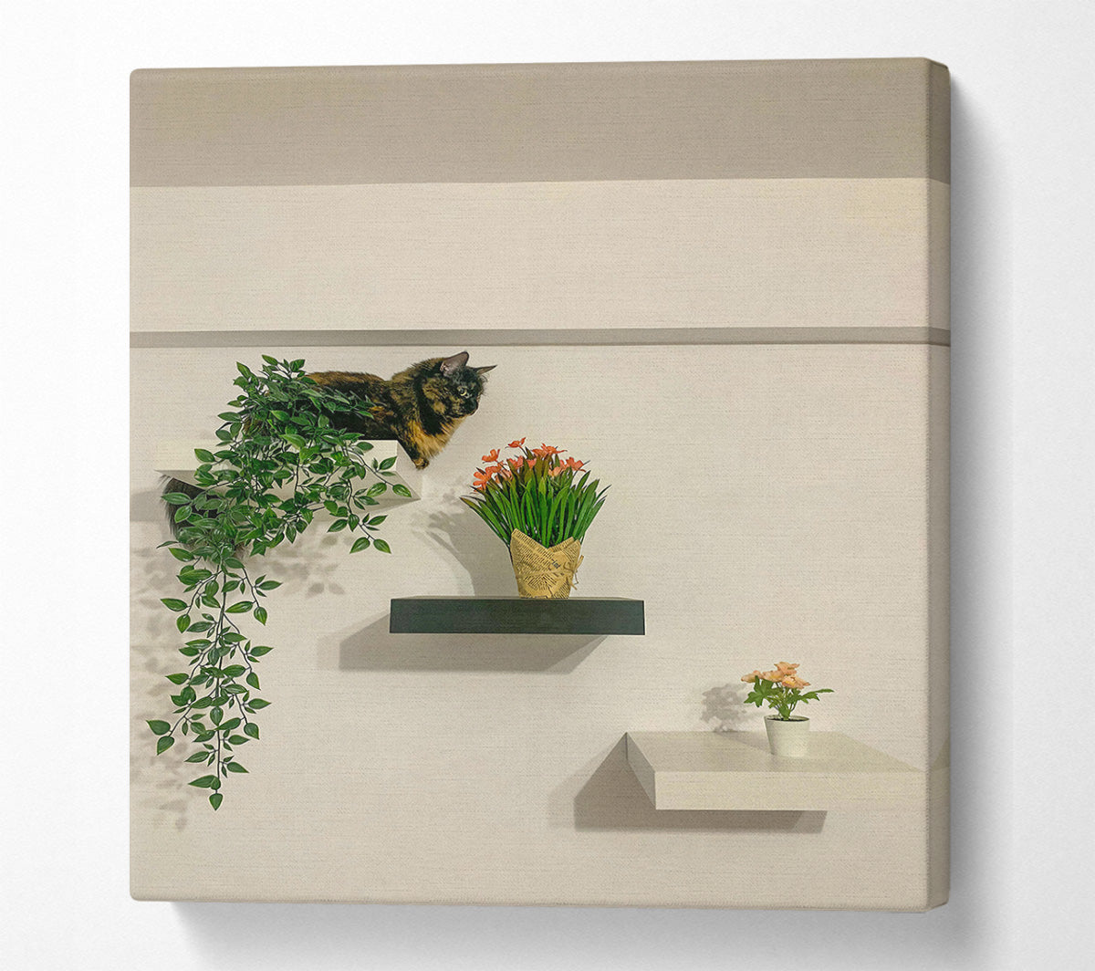 Black Shelf With Green Vines Canvas Print