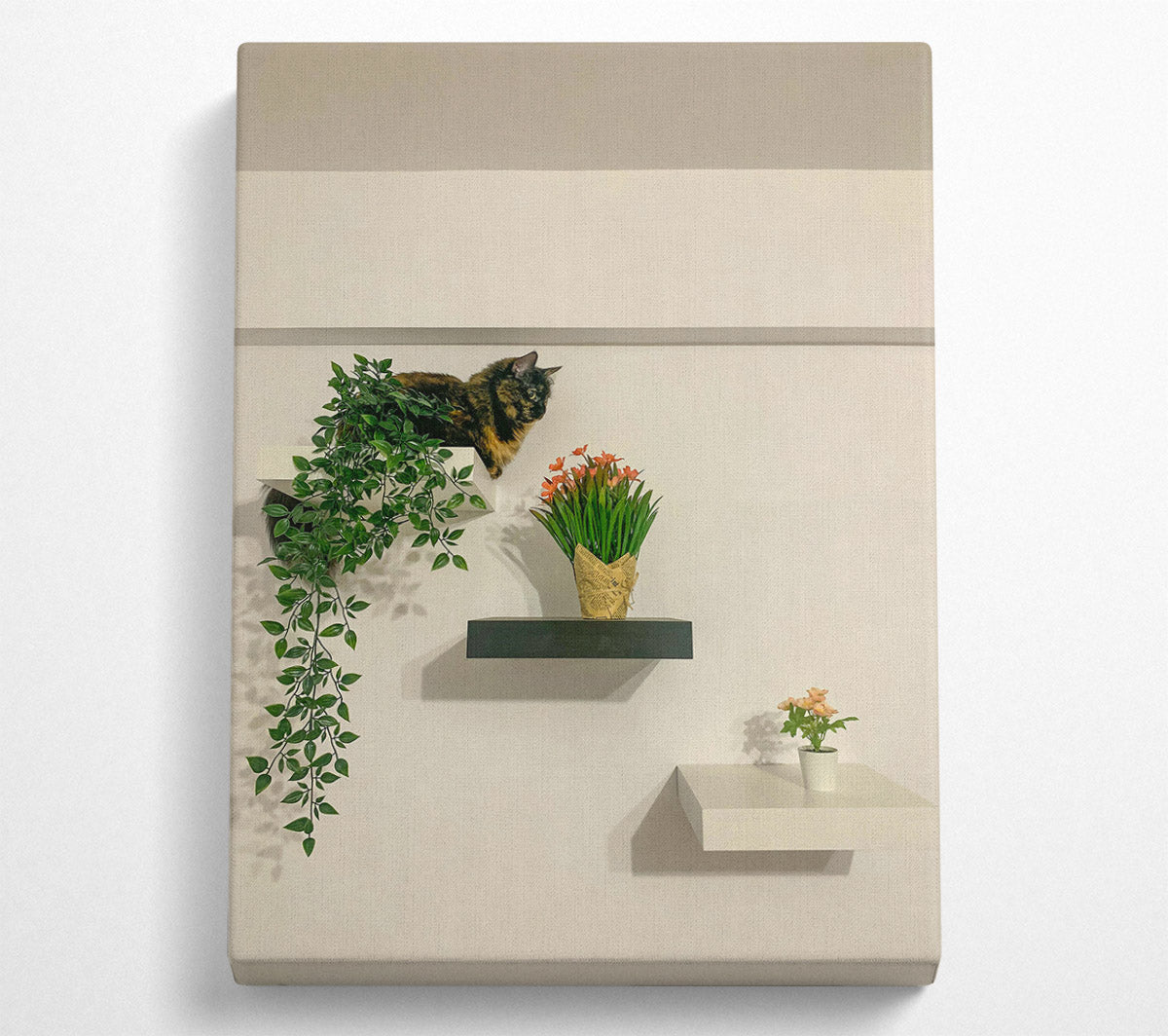 Black Shelf With Green Vines Canvas Print