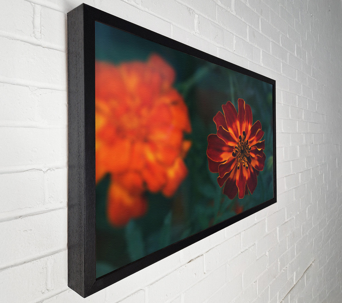 Burgundy Bloom Burst Canvas Wall Art