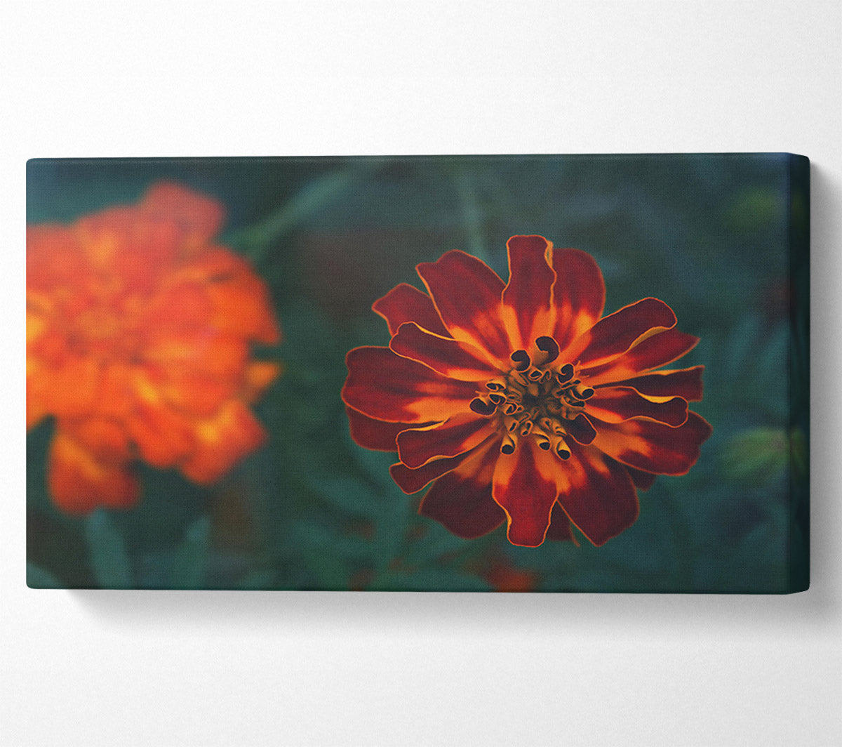 Burgundy Bloom Burst Canvas Wall Art