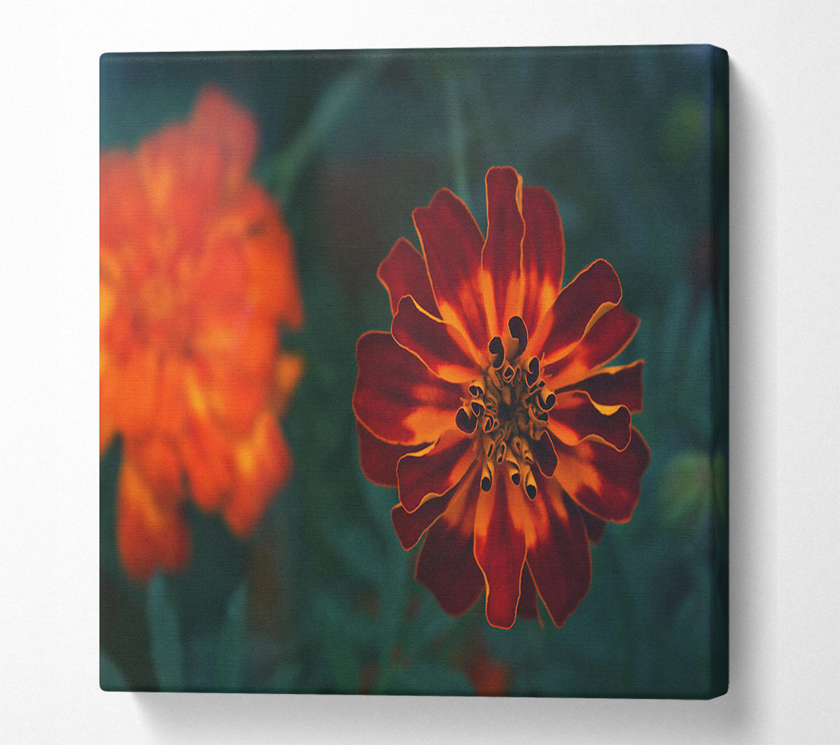 Burgundy Bloom Burst Canvas Wall Art