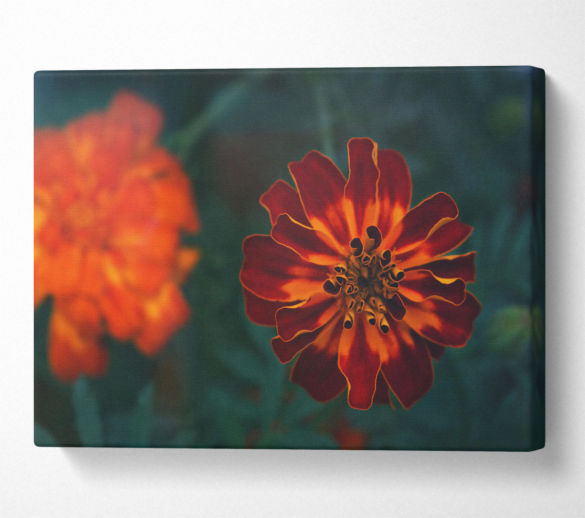 Burgundy Bloom Burst Canvas Wall Art