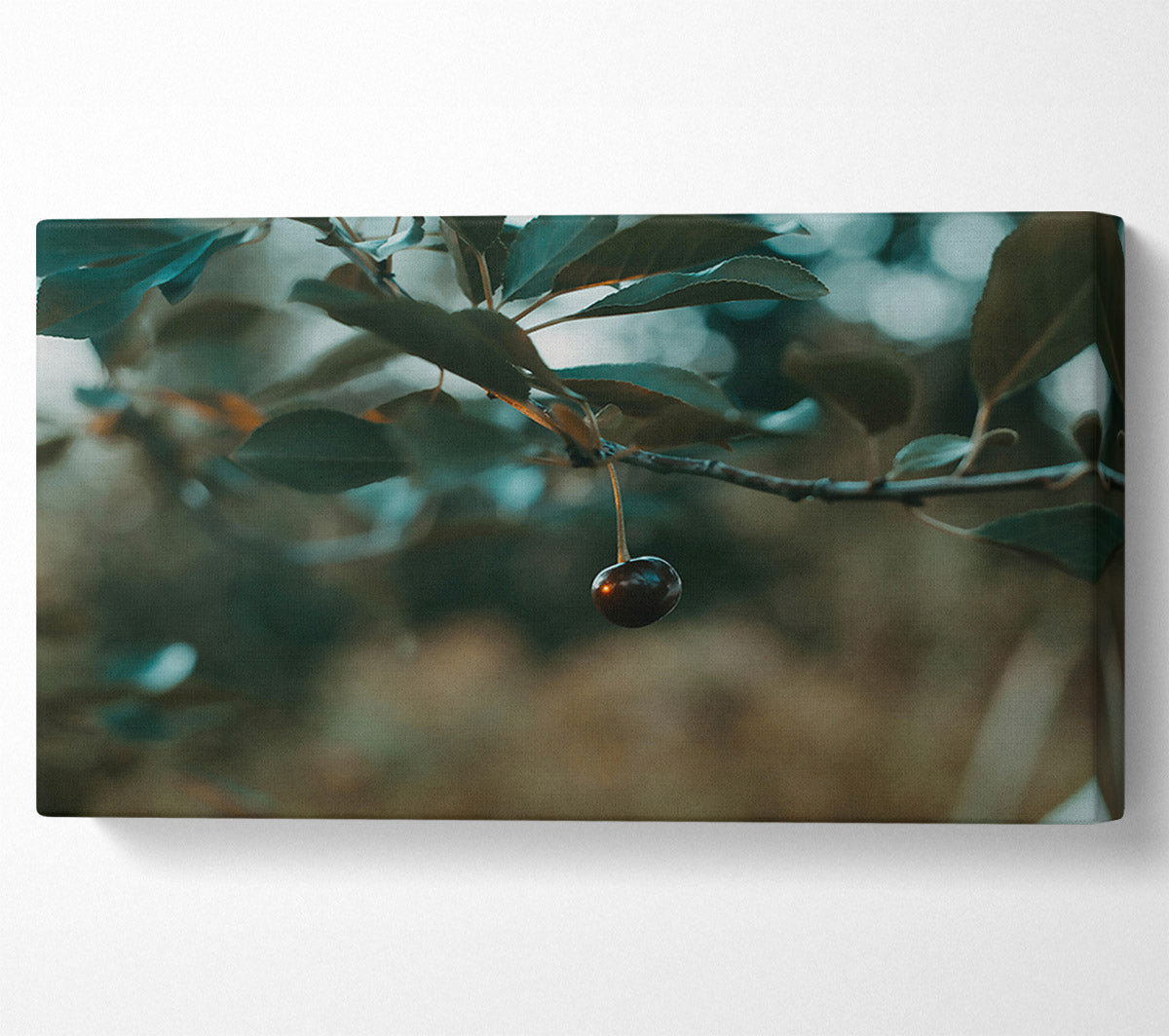 Teal Cherry Branch Canvas Wall Art