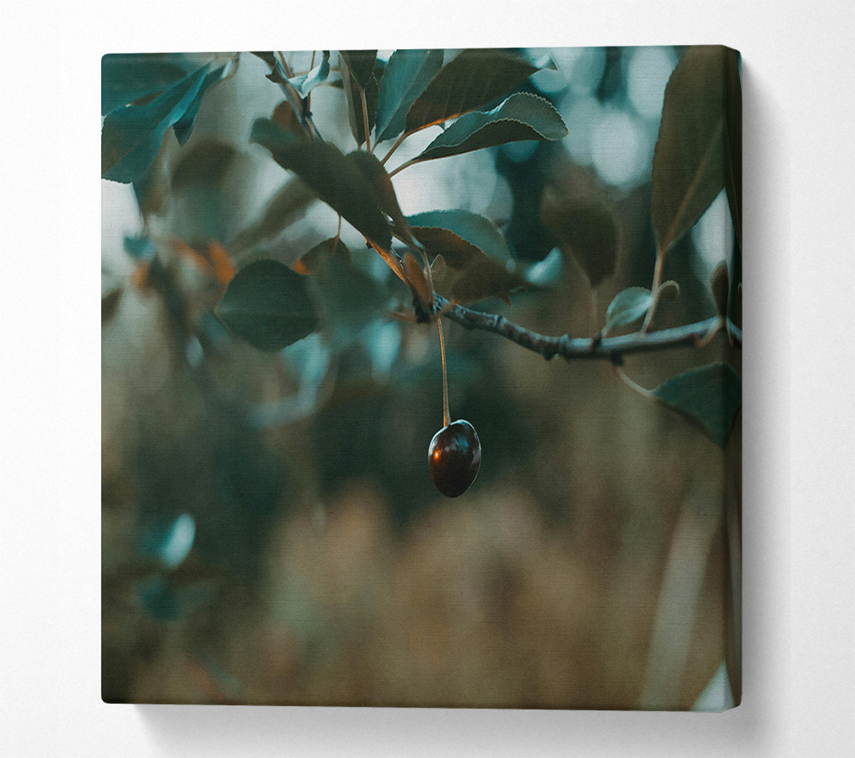 Teal Cherry Branch Canvas Wall Art