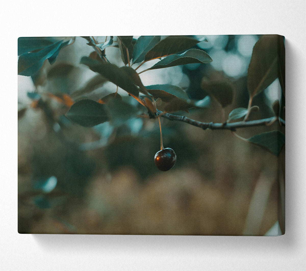 Teal Cherry Branch Canvas Wall Art