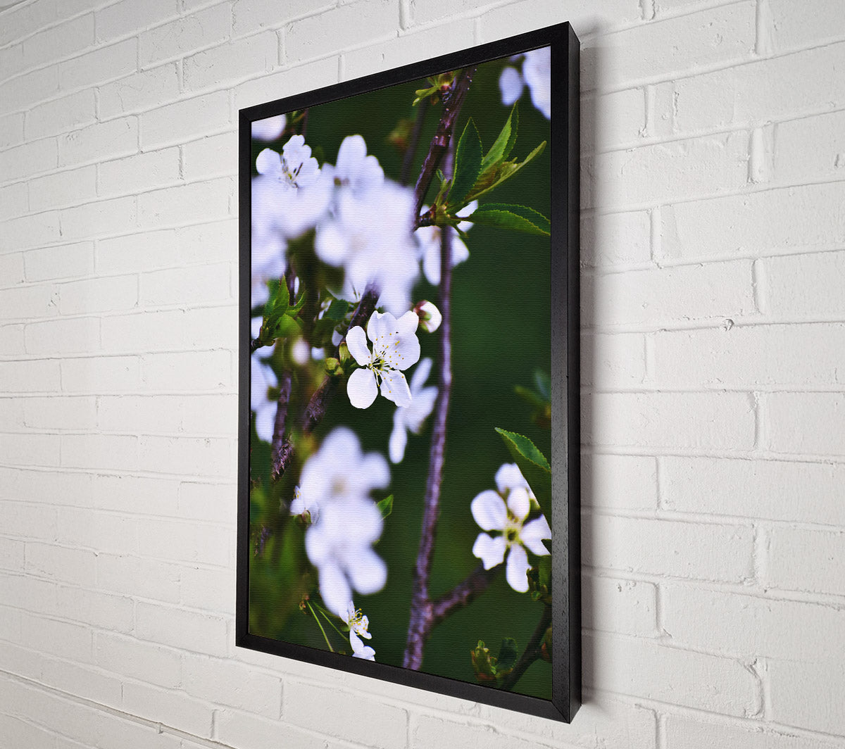 White Blossoms In Spring Canvas Wall Art