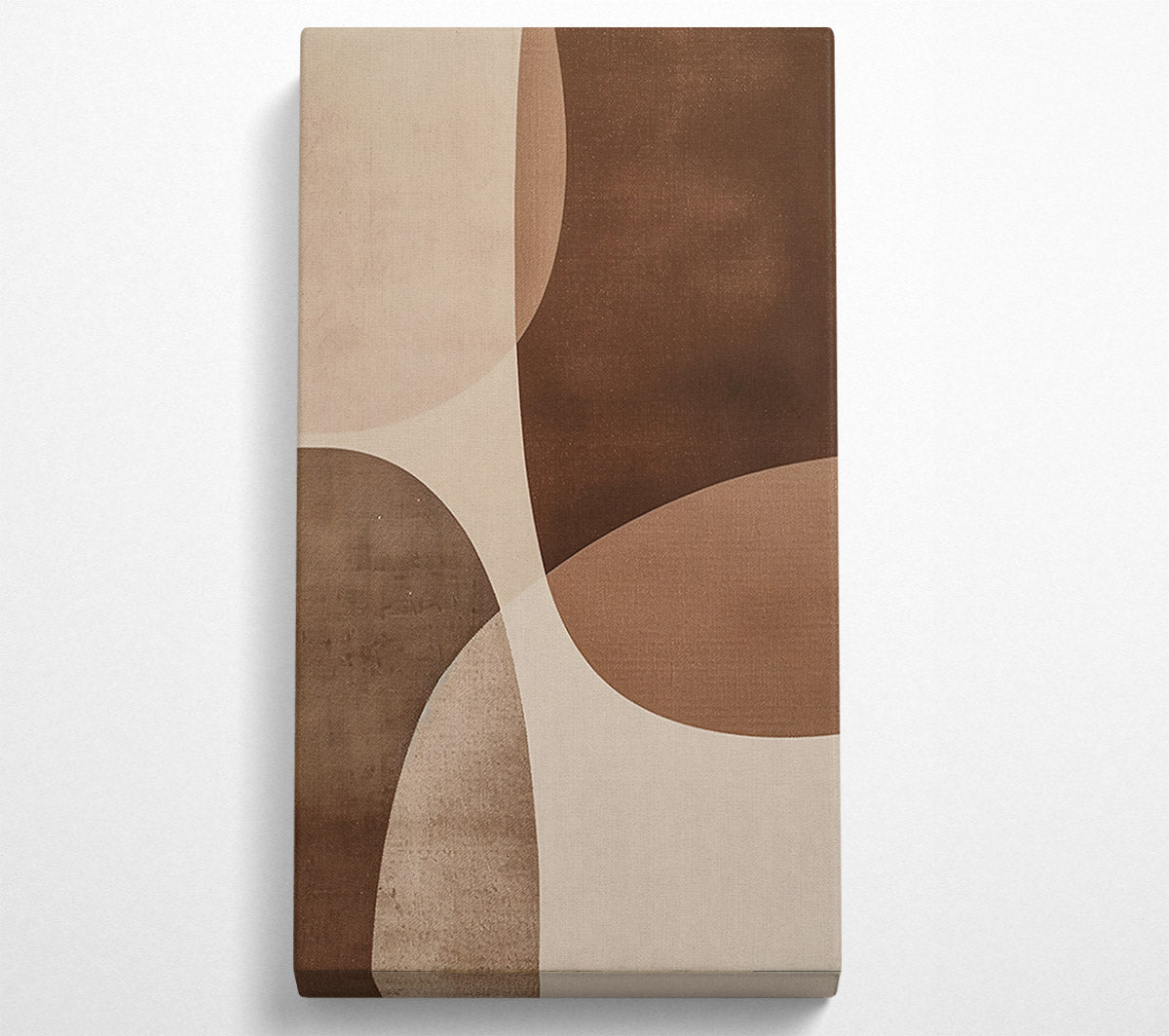 Brown Curved Abstract Canvas Wall Art