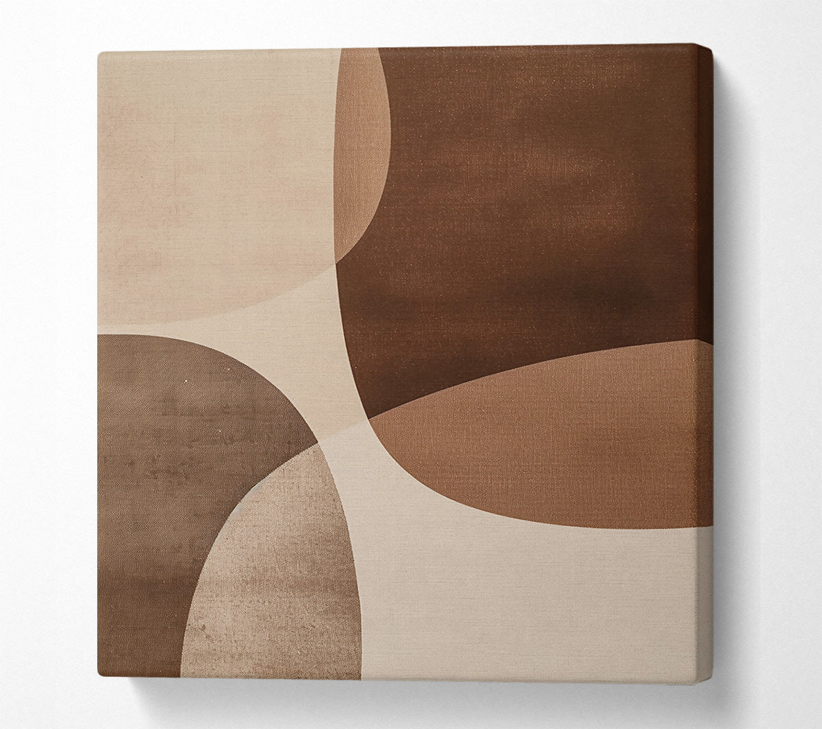Brown Curved Abstract Canvas Wall Art